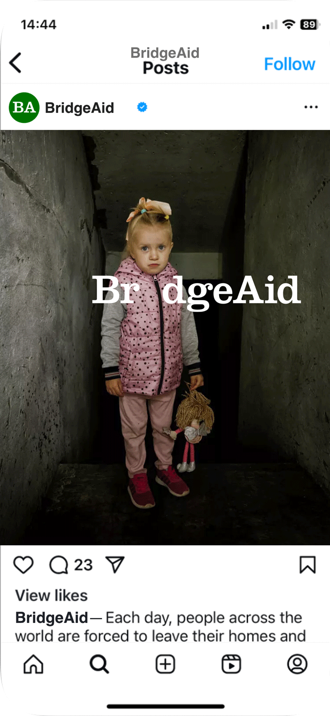 BridgAid-_0002_Layer-Comp-3